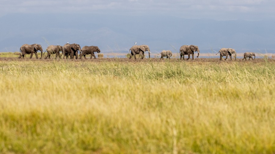 Où se trouve Arusha ?