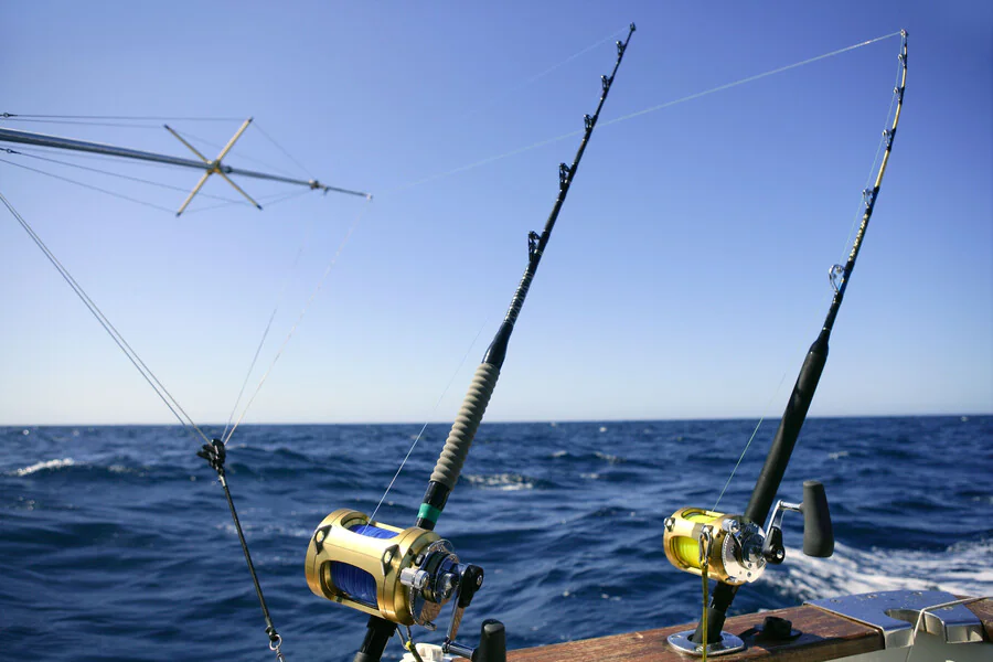 Quelles sont les techniques de pêche au gros les plus efficaces ?