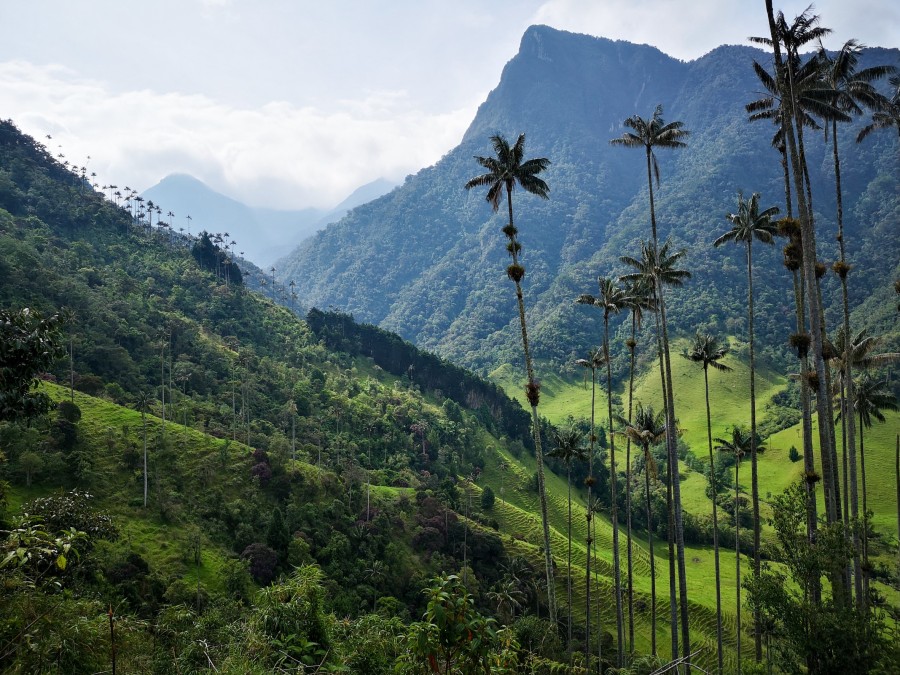 Quels sont les sites incontournables à visiter pour admirer les paysages colombiens ?